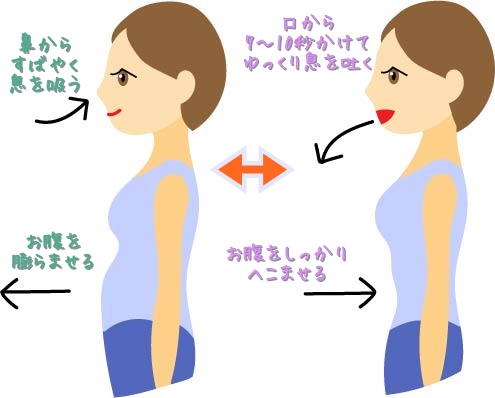 腹式呼吸の説明