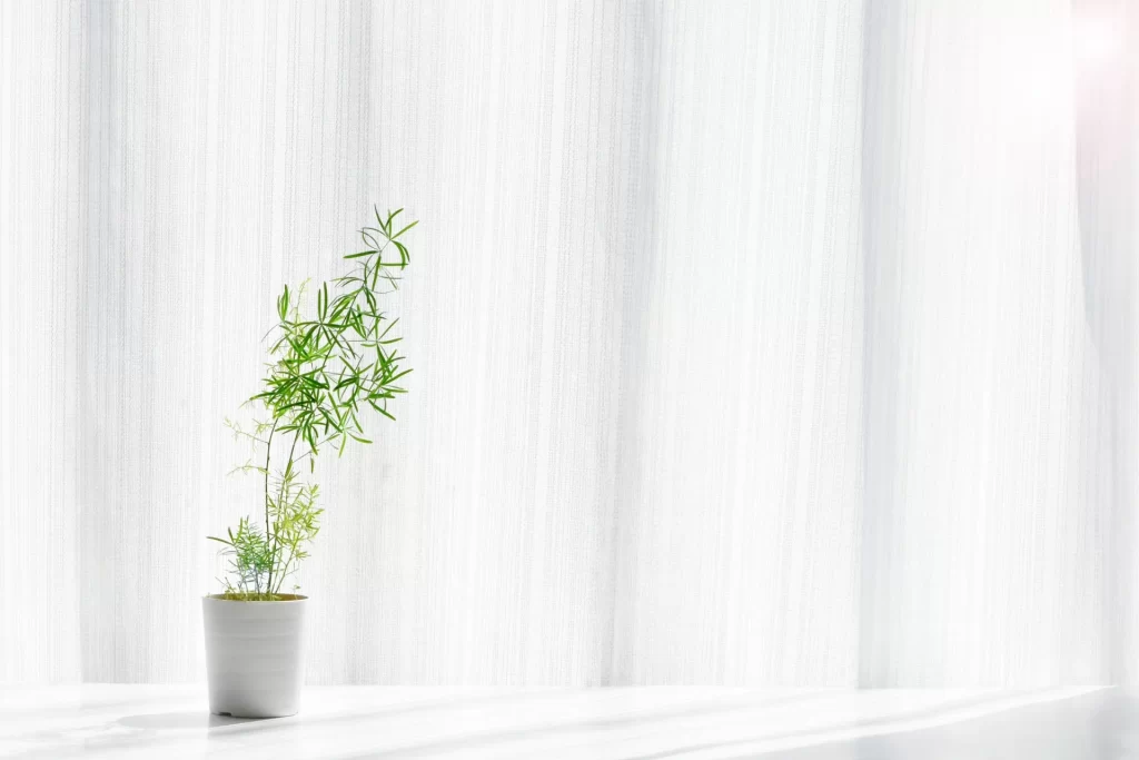 腰痛が落ち着いた後の穏やかな室内のイメージ