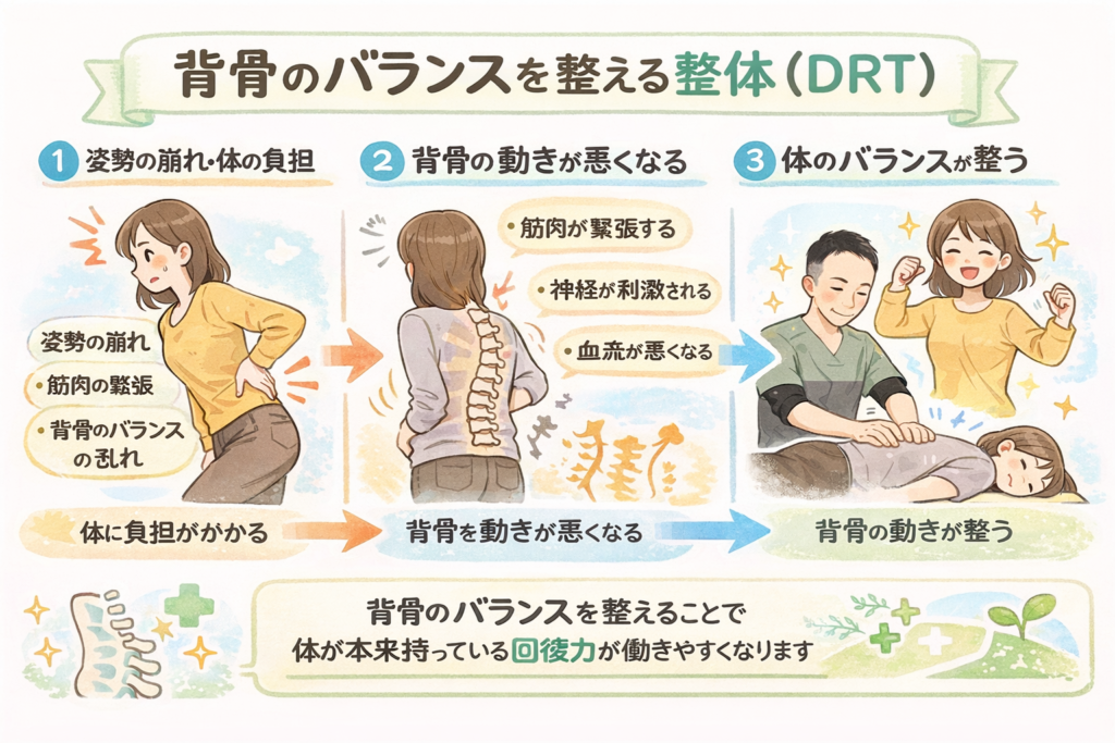 背骨のバランスを整える整体（DRT）の仕組みを説明した図。姿勢の崩れによって背骨の動きが悪くなり、整体で整えることで体の回復力が働きやすくなることを示しています。