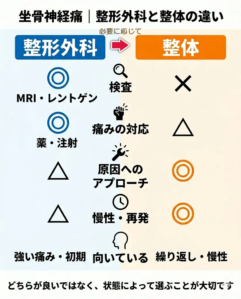 坐骨神経痛で整形外科と整体の違いを比較した図|どちらを選ぶべきかの目安